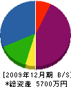 光栄開発 貸借対照表 2009年12月期