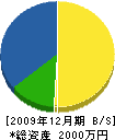 岩井工業 貸借対照表 2009年12月期