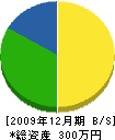 宮田塗装店 貸借対照表 2009年12月期