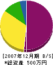齋藤工務店 貸借対照表 2007年12月期