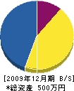 常磐井塗装店 貸借対照表 2009年12月期