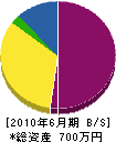加瀬野商会 貸借対照表 2010年6月期