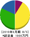 川＊電機商会 貸借対照表 2010年6月期