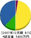 山武工務店 貸借対照表 2007年12月期