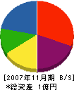 車塚建設 貸借対照表 2007年11月期