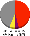 田村組 損益計算書 2010年6月期
