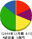 津野建設 貸借対照表 2009年12月期