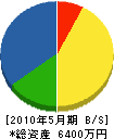 松川組 貸借対照表 2010年5月期