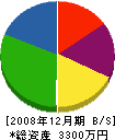 薄井電設 貸借対照表 2008年12月期