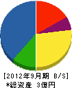 南日本建設工業 貸借対照表 2012年9月期