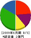 竹島運輸 貸借対照表 2009年6月期