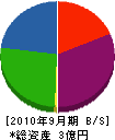 小笠原 貸借対照表 2010年9月期