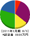 辻本工務店 貸借対照表 2011年3月期