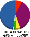 嶋田建築 貸借対照表 2009年10月期