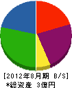 塚田工業 貸借対照表 2012年8月期