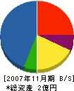 高山建設 貸借対照表 2007年11月期