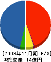 ヤマムラ 貸借対照表 2009年11月期