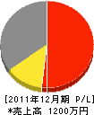 中沢工務店 損益計算書 2011年12月期