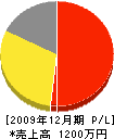 宮崎電工 損益計算書 2009年12月期