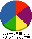 渡辺水道店 貸借対照表 2010年8月期