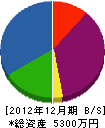 中本工務店 貸借対照表 2012年12月期