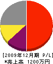 鈴木建設 損益計算書 2009年12月期