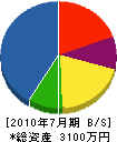 生垣屋 貸借対照表 2010年7月期