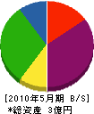 丸ス松井材木店 貸借対照表 2010年5月期