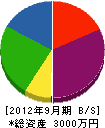 伊藤塗装店 貸借対照表 2012年9月期