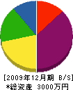 長峰建設 貸借対照表 2009年12月期