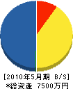 岩崎組 貸借対照表 2010年5月期