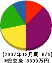 坂口組 貸借対照表 2007年12月期