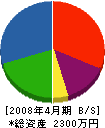 坂井建具店 貸借対照表 2008年4月期