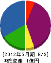 技翔 貸借対照表 2012年5月期