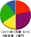 シナノ大理石 貸借対照表 2011年1月期
