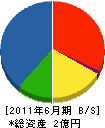 藤本建設 貸借対照表 2011年6月期