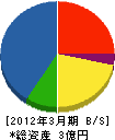 沖縄市管工事（同） 貸借対照表 2012年3月期