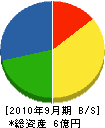 大須賀技建 貸借対照表 2010年9月期