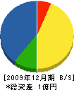長谷川建設 貸借対照表 2009年12月期