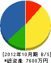 長谷川電機 貸借対照表 2012年10月期