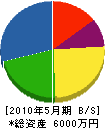 田子電機商会 貸借対照表 2010年5月期