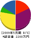 長野建設 貸借対照表 2009年5月期