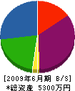 小松技建 貸借対照表 2009年6月期