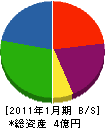 タケノ 貸借対照表 2011年1月期