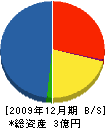 西日本工業 貸借対照表 2009年12月期