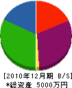 辻本土木 貸借対照表 2010年12月期