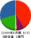 藤島建設 貸借対照表 2009年6月期