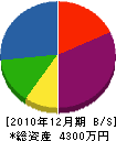 東長崎電気 貸借対照表 2010年12月期
