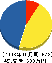泰光電気工業社 貸借対照表 2008年10月期