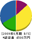 丸川緑光園 貸借対照表 2009年6月期